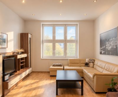  Old Town furnished 2-room apartment for rent