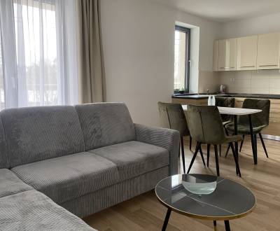 One bedroom modern apartment for rent with garage, new building