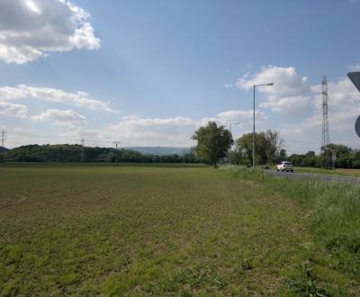 Sale Agrarian and forest land, 54, Nové Mesto nad Váhom, Slovakia