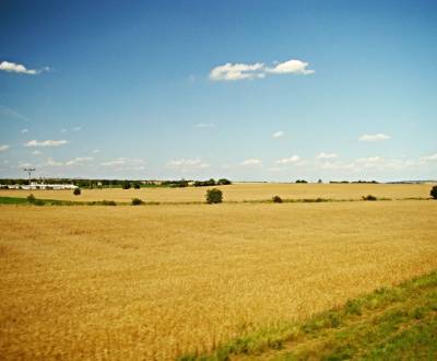 Sale Agrarian and forest land, Ľanoviská, Bratislava - Rusovce, Slovak