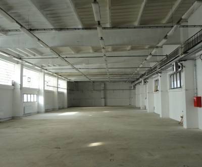 Rent Production premises, Production premises, Hlohovec, Slovakia