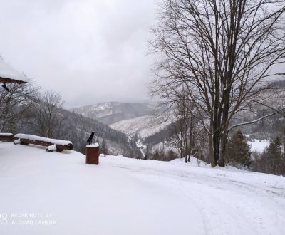 Recreational land, U Haladeji, Sale, Čadca, Slovakia