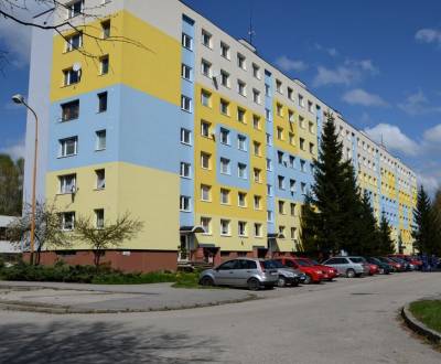 Searching for Three bedroom apartment, Gaštanová, Žilina, Slovakia