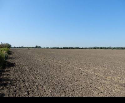 Sale Agrarian and forest land, Alžbetin Dvor, Senec, Slovakia