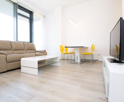 Modern 1-room apartment in the City Park