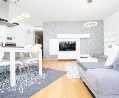 Premium furnished 2-room apartment in Panorama City