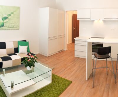  Apartment for rent in Bratislava