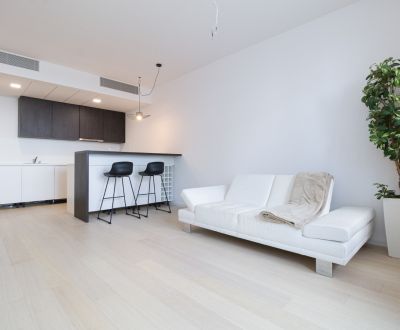 Rent One bedroom apartment, Skypark, Bratislava 