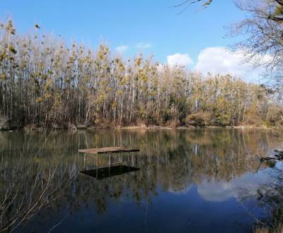 Sale Land – for living, Land – for living, Jahodná, Dunajská Streda, S