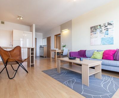 Rent One bedroom apartment, Ružová dolina