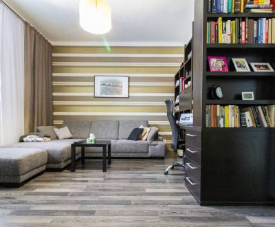Nice spacious 1-room apartment in the Old Town