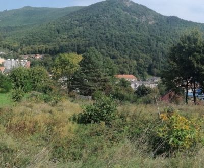 Sale Land – for living, Žarnovica, Slovakia