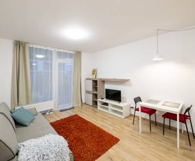 Cozy modern 1room apt 28m2, with terrace in a great area, AHOJ PARK