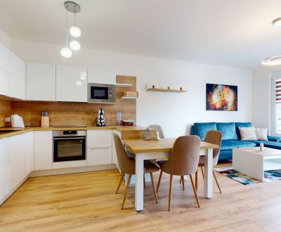 Rent One bedroom apartment, One bedroom apartment, Skuteckého, Banská 