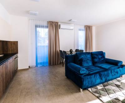 Rent One bedroom apartment, One bedroom apartment, Tulipánová, Nitra, 