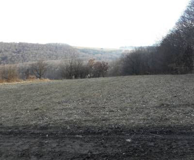Sale Agrarian and forest land, Nová Bošáca, Nové Mesto nad Váhom, Slov