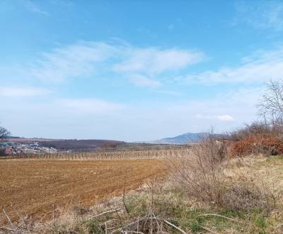 Agrarian and forest land, Sale, Nitra, Slovakia