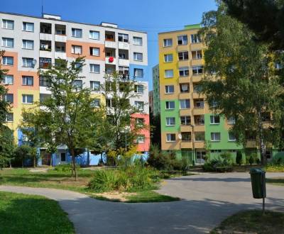 Searching for One bedroom apartment, One bedroom apartment, Gaštanová,