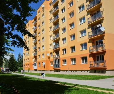 Searching for One bedroom apartment, One bedroom apartment, Kubínska, 