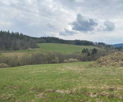 Sale Recreational land, Recreational land, Dolný Kubín, Slovakia