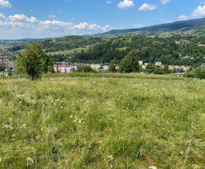 Recreational land, Sale, Detva, Slovakia
