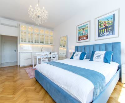 Luxurious 1room apt, 32m2, overlooking the Dunaj