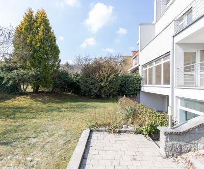  Family house with pool for rent in Bratislava