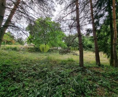 Sale Gardens, Gardens, Košice - Kavečany, Slovakia