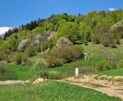 Sale Recreational land, Recreational land, Fongrub, Brezno, Slovakia