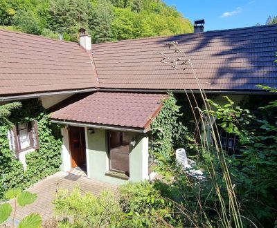 Sale Family house, Family house, ., Žarnovica, Slovakia