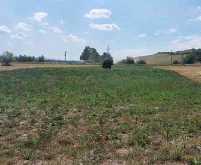 Sale Land – for living, Čachtice, Nové Mesto nad Váhom, Slovakia