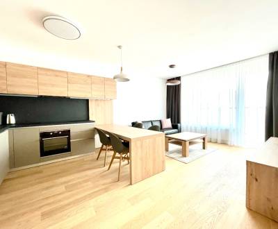 Rent One bedroom apartment, One bedroom apartment, Pribinova, Bratisla