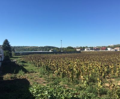 Land – for living, Sale, Piešťany, Slovakia