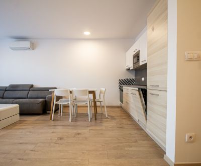 Apartment for rent in Bratislava 