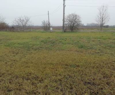Sale Land – for living, Land – for living, jatov, Nové Zámky, Slovakia