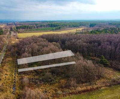 Sale Agrarian and forest land, Senica, Slovakia