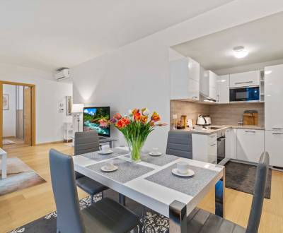 Rent One bedroom apartment, One bedroom apartment, Landererova, Bratis