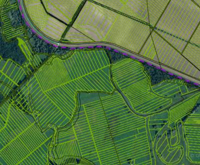 Sale Agrarian and forest land, Agrarian and forest land, Malacky, Slov