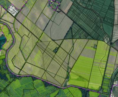 Sale Agrarian and forest land, Agrarian and forest land, Ferdiša Kostk