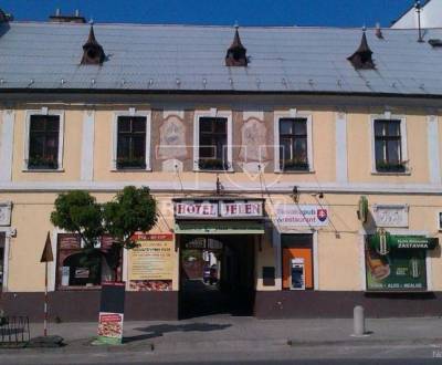 Sale Hotels and pensions, Pezinok, Slovakia