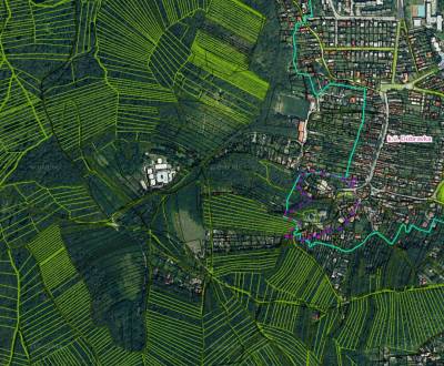 Sale Agrarian and forest land, Plachého, Bratislava - Dúbravka, Slovak