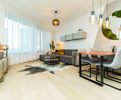  Luxurious apartment with parking for rent in SKYPARK