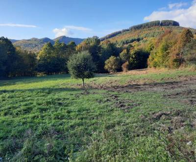 Sale Recreational land, Recreational land, Púchov, Slovakia