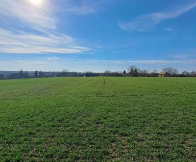 Sale Land – for living, Land – for living, Dubník, Nové Zámky, Slovaki
