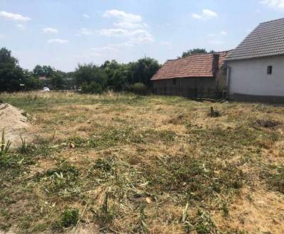 Sale Land – for living, Čalovec, Komárno, Slovakia