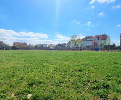 Sale Land – for living, Land – for living, Pezinok, Slovakia