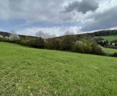 Sale Recreational land, Recreational land, Zbora, Púchov, Slovakia
