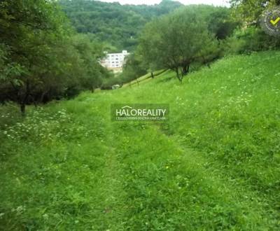 Sale Land – for living, Žiar nad Hronom, Slovakia