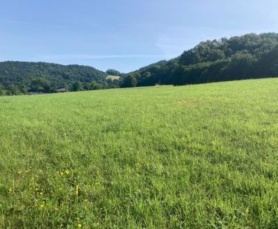 Sale Land – for living, Land – for living, Nimnica, Púchov, Slovakia