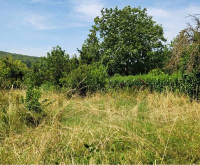 Sale Land – for living, Land – for living, Neusiedl am See, Austria